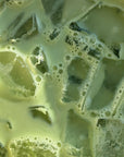 matcha sonogi by hugo tea